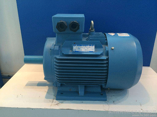 高效節(jié)能電機(jī)是西安泰富西瑪未來(lái)商業(yè)發(fā)展的方向。
